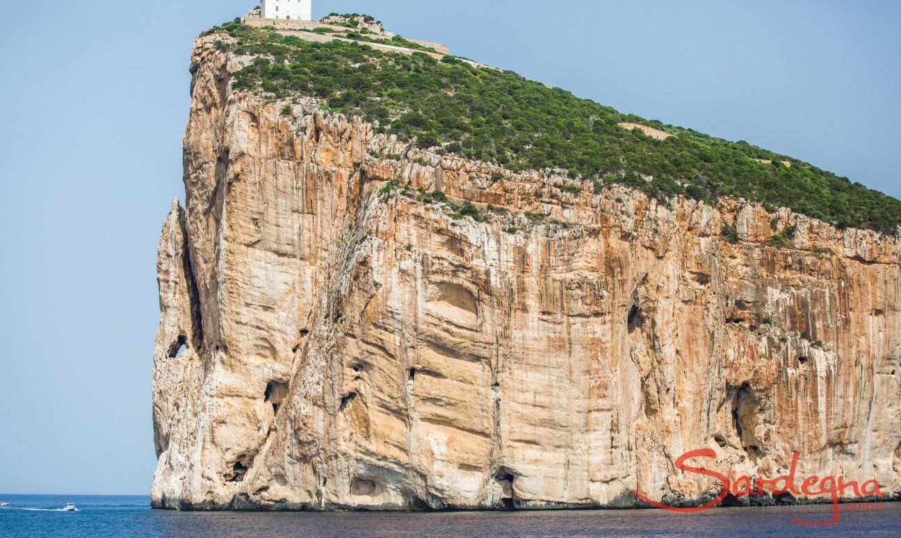 Das Felskap Cappo Caccia mit Leuchtturm, Alghero