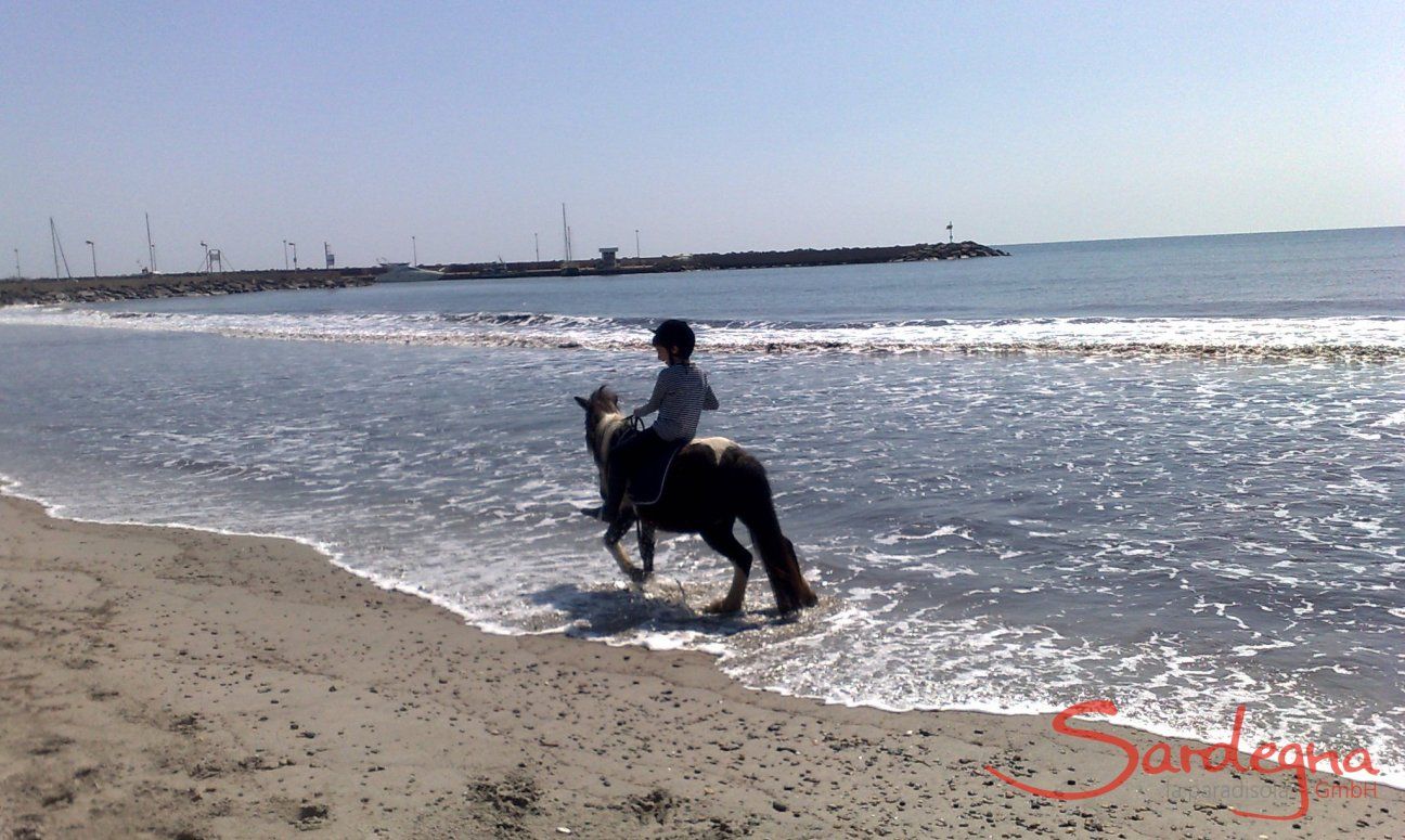 Ponyausritt am Strand von Porto Columbu | Reitstall Boscovivo