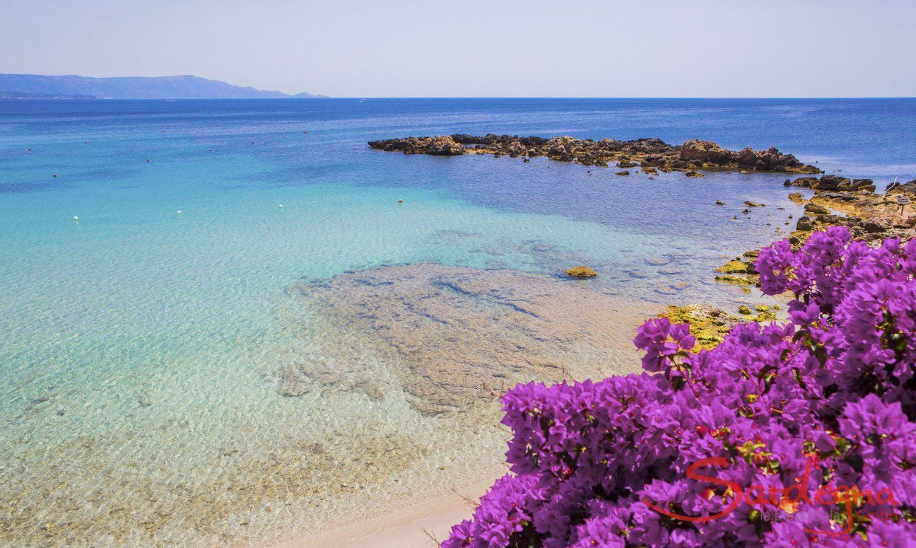 Kristallklares Wasser und violett blühender Bougainville am Strand bei Alghero