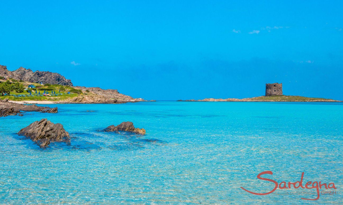 Blick über das klare Meer auf den Strand von La Pelosa Stintino