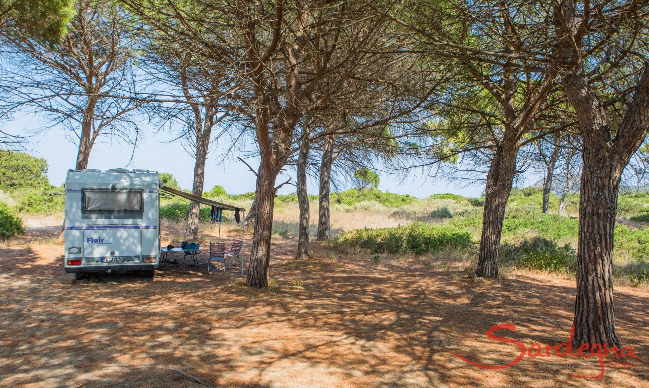 Schattenspendender Pinienhain zum Ausruhen und Parken hinter dem Strand von Feraxi, Capo Ferrato