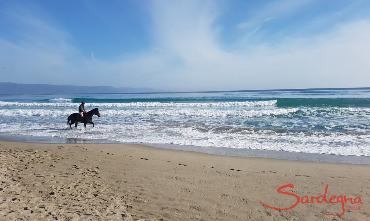 Reiter mit Pferd vor den Wellen am Strand vom Poetto, Cagliari