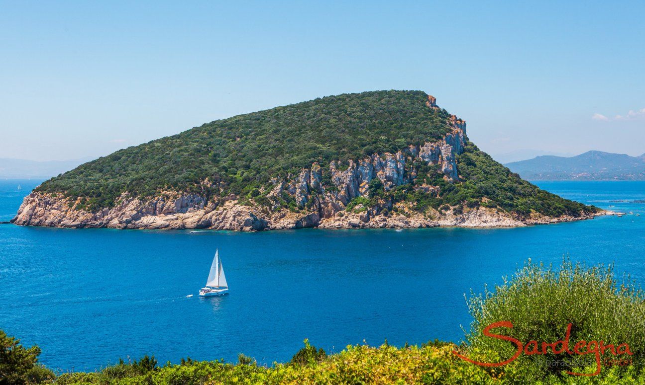 Segelboot vor der Insel Figarolo bei Golfo Aranci