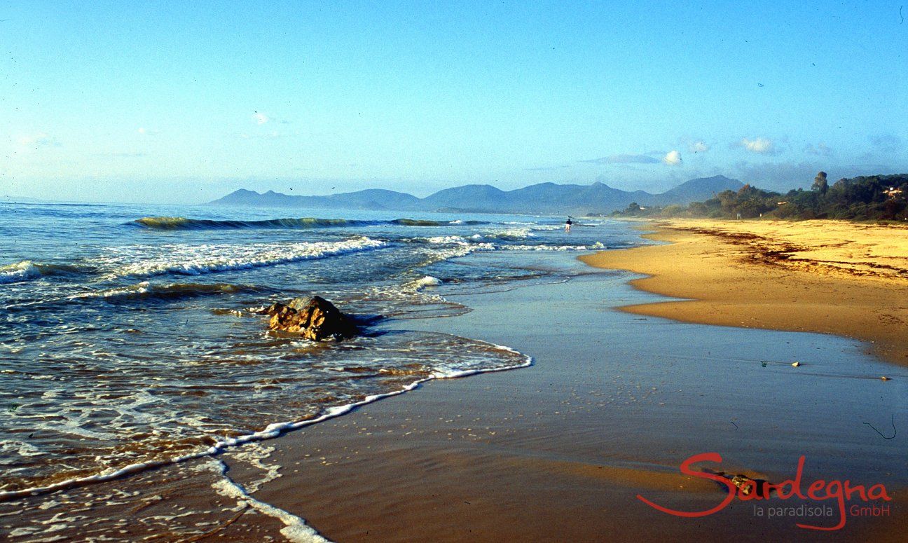 Villa Donatella | Ein Kundenfoto von Professor Till auf die Costa Rei - wie ein Gemälde Sandstrand der Costa Rei
