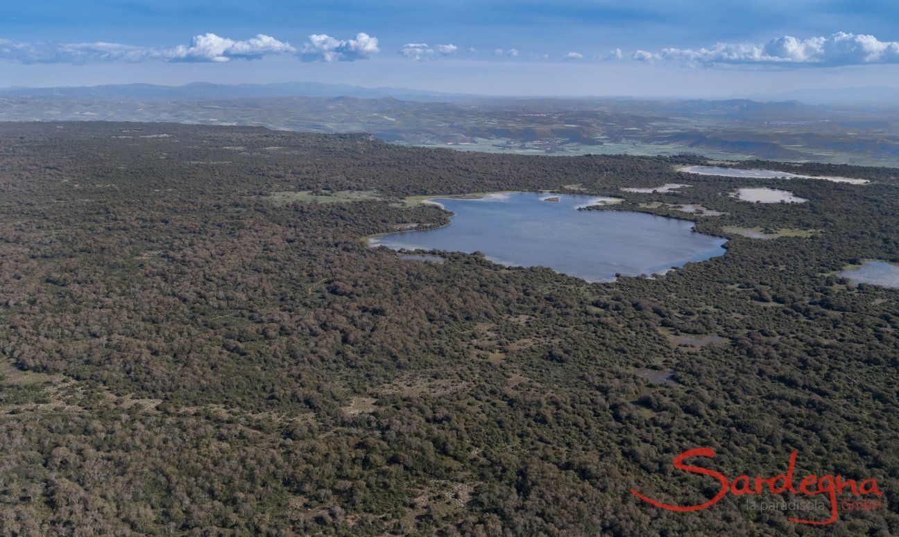 Hochplateau Giara di Gesturi Sardinien