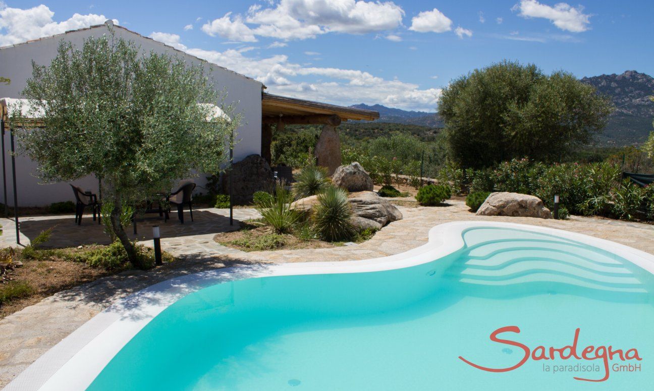 Villa Oleandro | Pool mit breiter Treppe Pool Villa Oleandro, Porto Rotondo, Nordsardinien