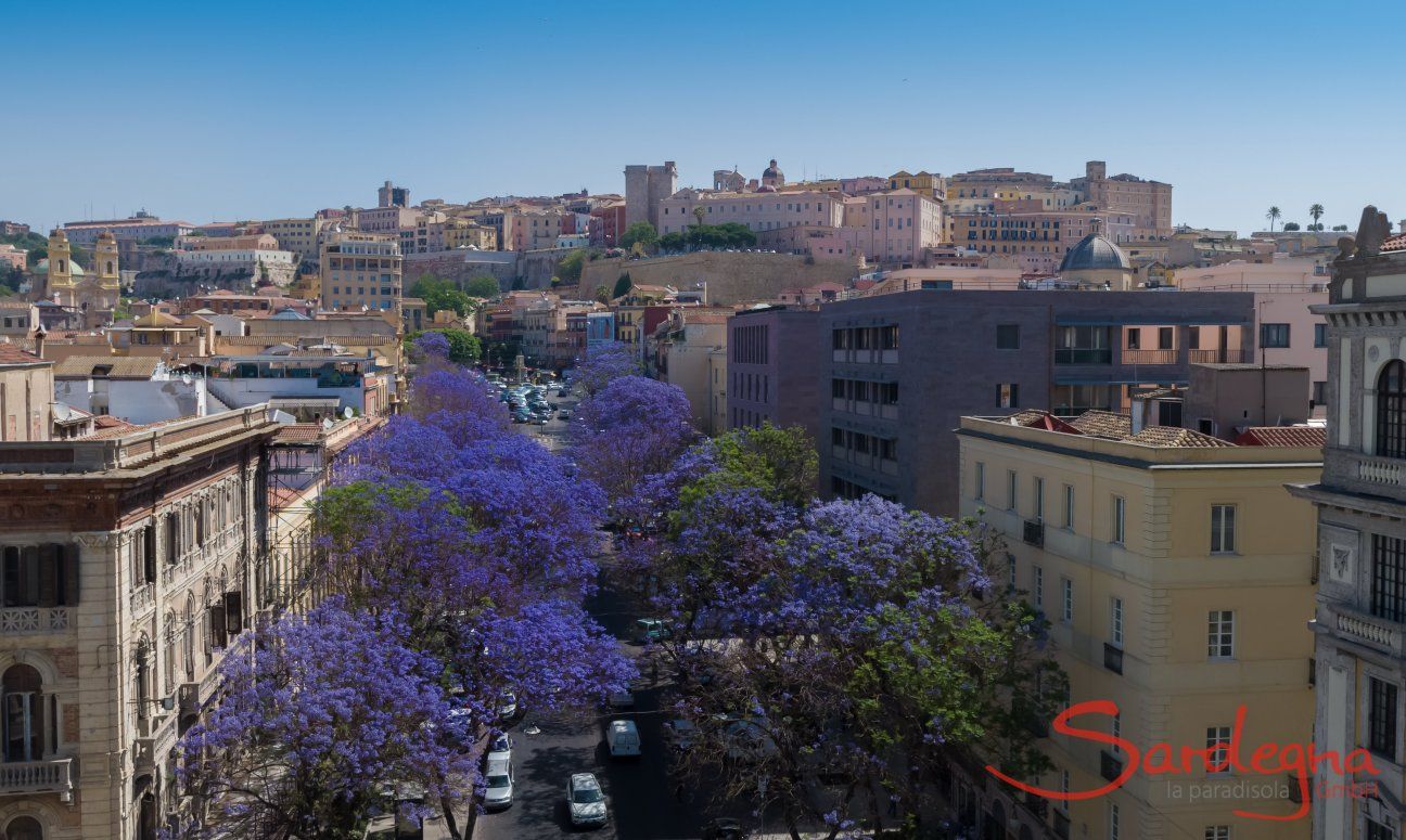 Cagliari die Hauptstadt von Sardinien