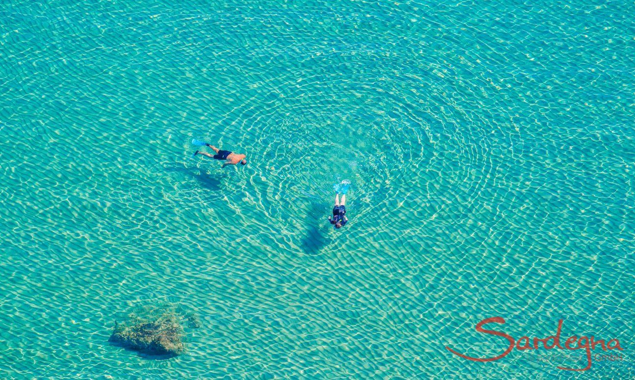 Strand Torresalinas