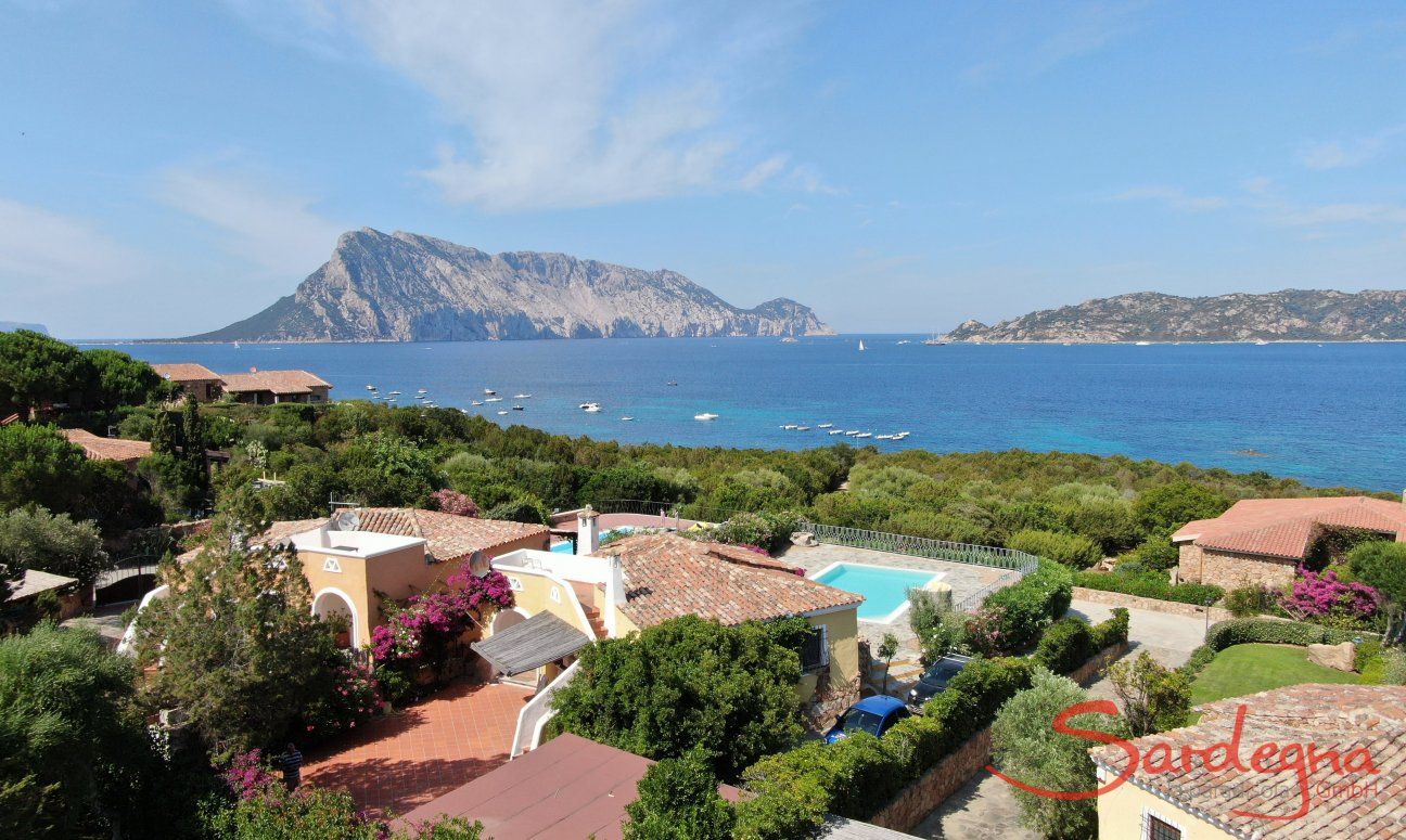 Villa Maestrale | Privatvilla mit Pool und Meerblick Hausdarstellung Villa Maestrale, Cala Ginepro, Nordsardinien