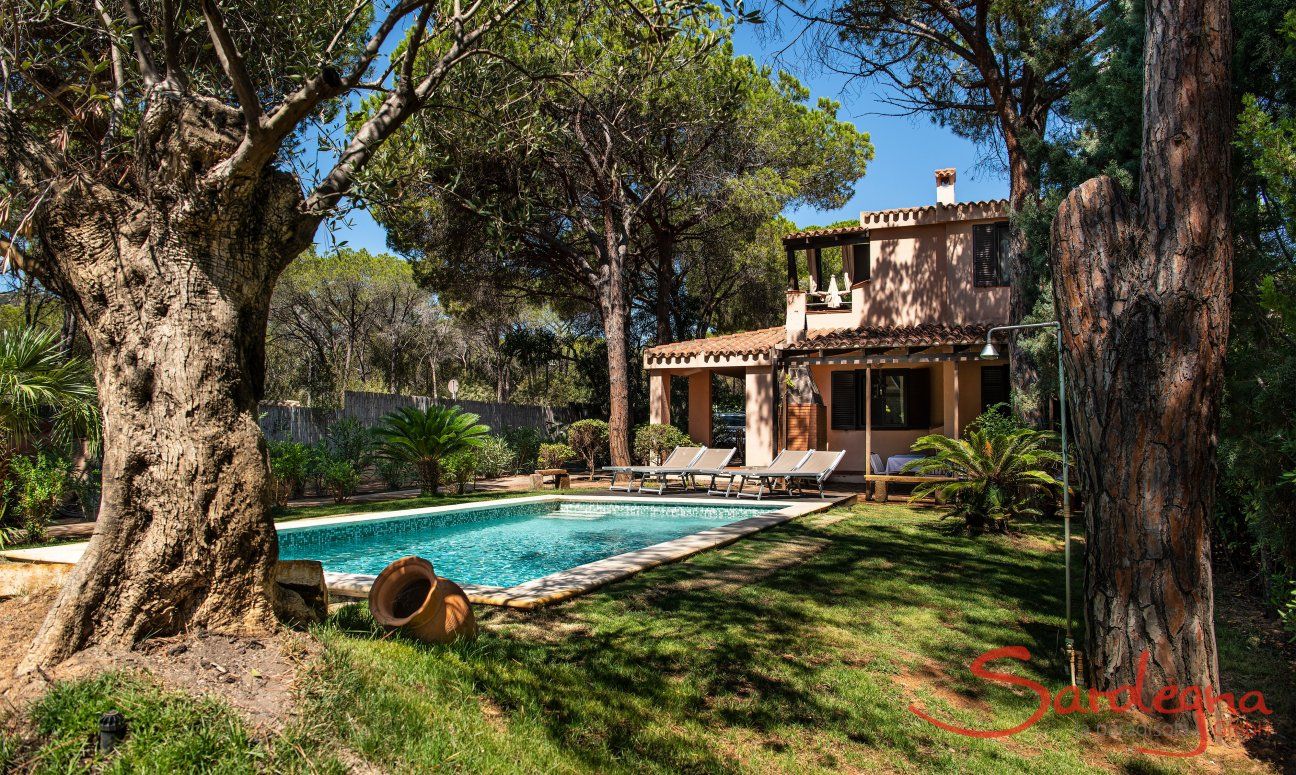 Villa Pino | Schattiger Garten unter Pinien Pool und Garten