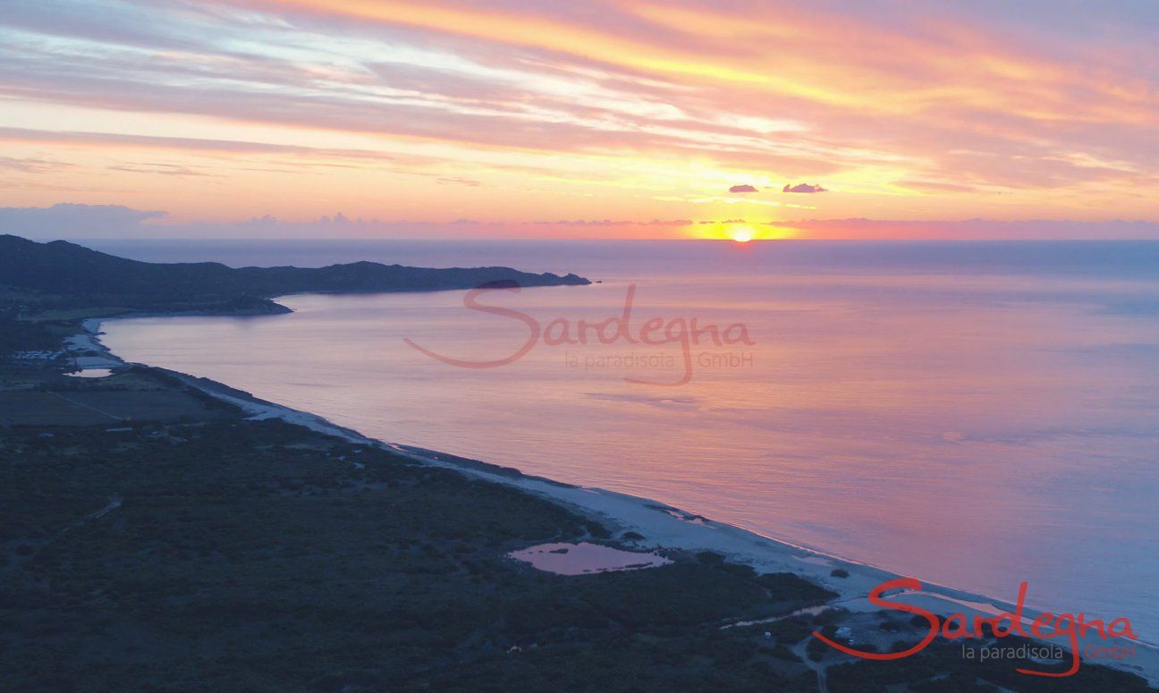 Sardinien - Flamingos