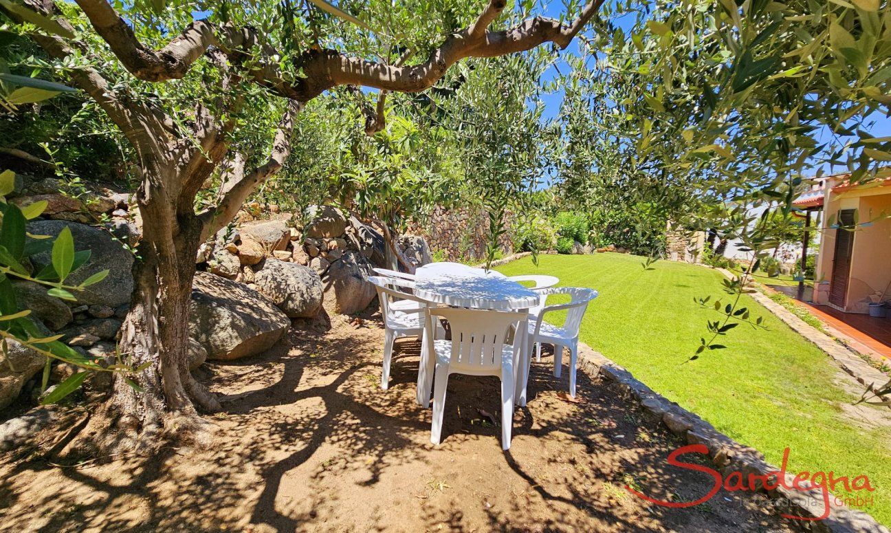 Villa Lucia | Gartentisch hinter dem Haus unter einem alten Olivenbaum New Picture