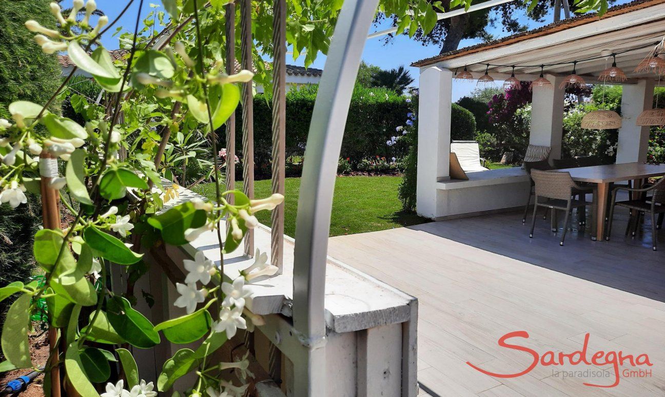 Villa Kika | Berankte Laube - im Spätsommer mit weißen Trauben für die Gäste Villa Kika