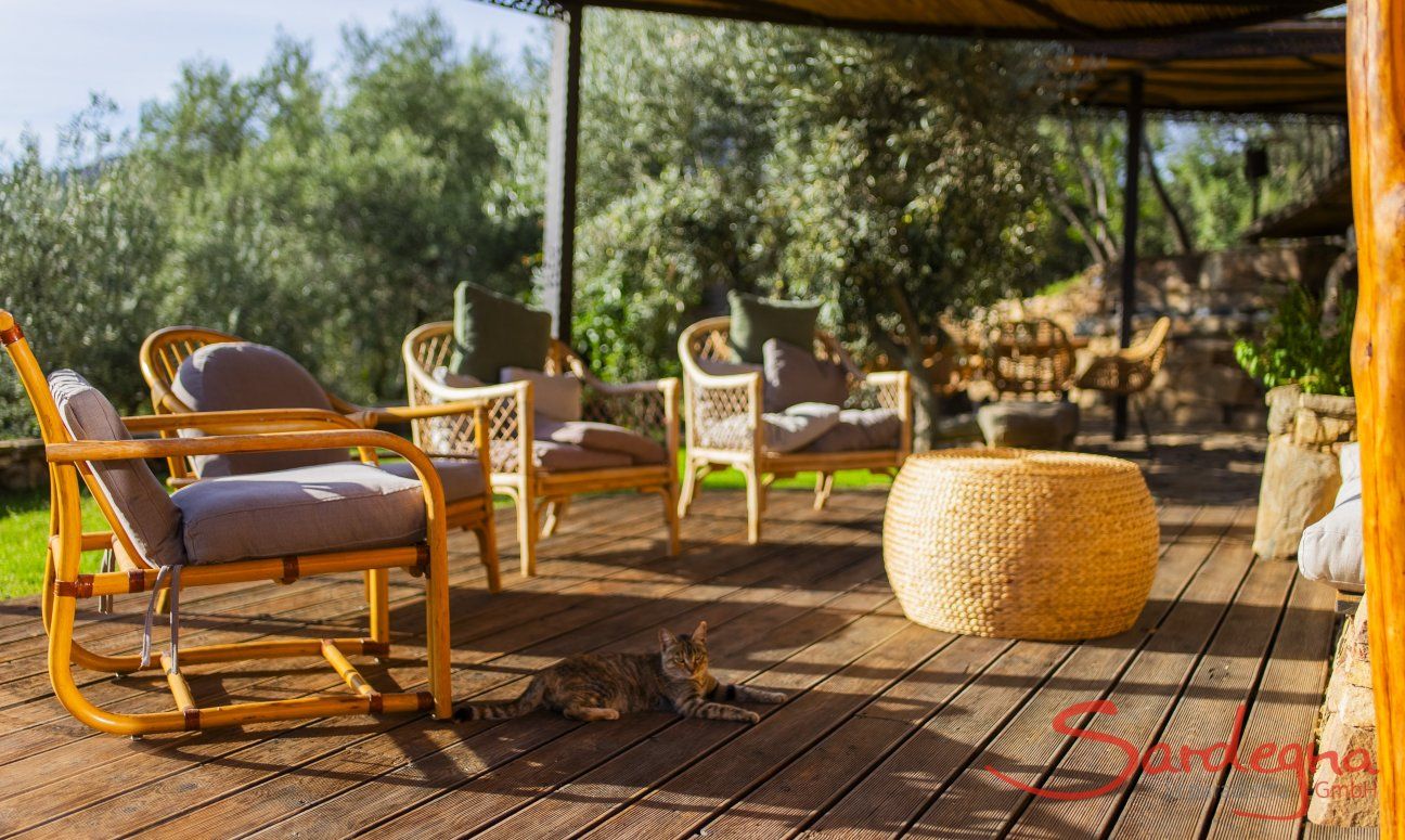 Bioloco | Wohnen im Freien mit überdachter Terrasse New Picture 2024