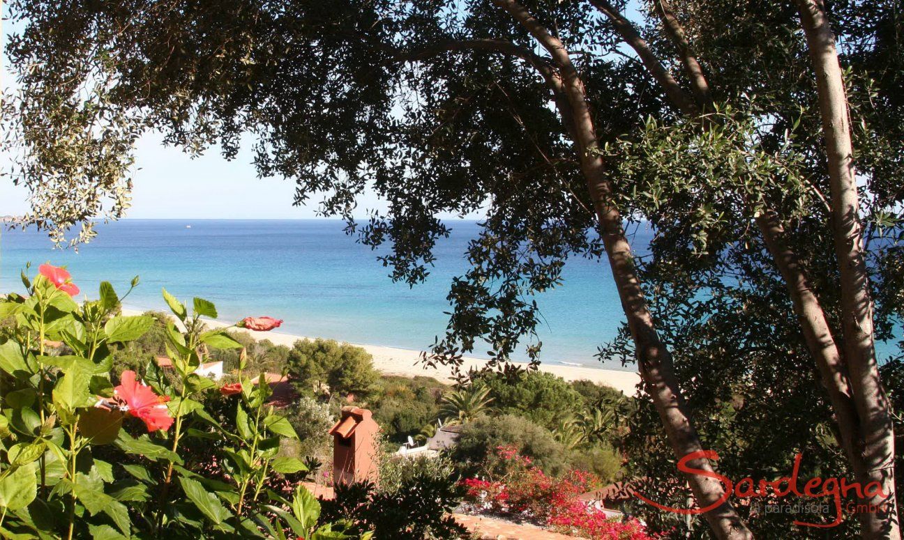 Nido 3 | Meerblick und 50 Stufen und Sie sind am Meer Meerblick
