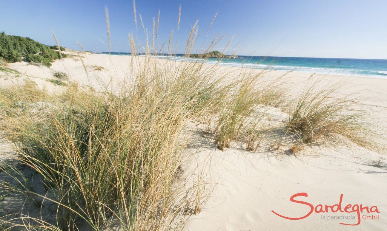 Villetta Pino | Chia, 6 km Sardinien