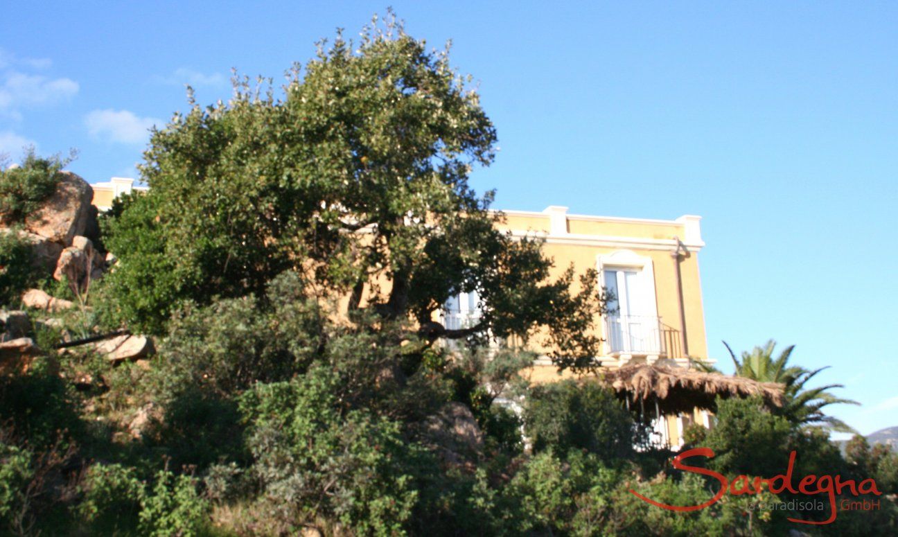 Villa Aquila Alta | Villa Aquila Alta inmitten phantastischer Vegetaion Sardinien