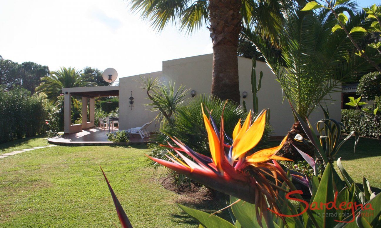 Villa Giangaleazzo | Bunte Blumen im Garten Bunte Blumen im Garten