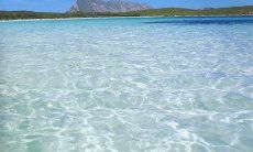 Villa Cala Ginepro | Glasklares Wasser am Strand von S.Teodoro Glasklares Meer bei San Teodoro