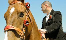 Pferdekopf mit geschmücktem Geschirr und seinem Reiter in schwarzem Samtanzug