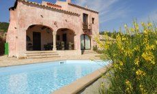 Villa del Sole | Im Mai blüht der gelbe Ginster Im Mai blüht der gelbe Ginster