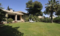 Villa Palme | Großer Garten der Villa Palme Großer Garten der Villa Palme
