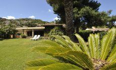 Villa Palme | Großer, weitläufiger und schön gestalteter Garten Großer, weitläufiger und schön gestalteter Garten