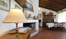 Villa Monica | Wohnzimmer mit Kamin, Sitzecke und großem Esstisch Detail