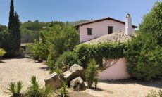 Villa Fiori 1 | Das Haus ist umgeben von grünen Pflanzen und mit Ziegeln gefließten Plätzen Seitenansicht der Villa Fiori 1