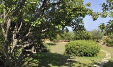 Casa Meloni 2 | Eingebettet in die sardische Natur Ferienhaus eingebettet in die sardische Natur, Meloni 2 in Sant Elmo