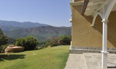 Villa Aquila Giardino | Blick von der Terrasse auf ein großes unbebautes Waldgebiet Blick von der Terrasse