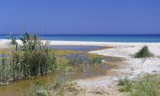 Villa Daniele | Lagune und Meer in Rei Sole Strand vor dem Haus