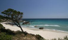 Apartment Azzurra | Porto Sa Ruxi, 2 km Weißer Sandstrand