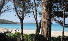 Strand Porto Taverna