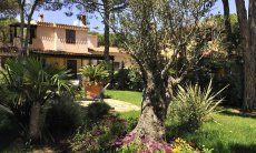 Villa Pino | Großer Garten mit Blumen und Schatten, Pool ist im Bau Villa Pino
