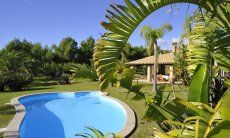 Villa Il Palmeto | Pool, eingebettet in den gepflegten Garten Pool, eingebettet in den gepflegten Garten