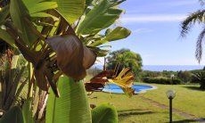 Villa Il Palmeto | Gepflegter Garten mit Blick auf das Meer Gepflegter Garten mit Blick auf das Meer