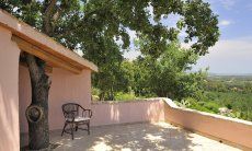 Villa Fiori 2 | Baum als Gestaltungselement der Terrasse Villa Fiori 2
