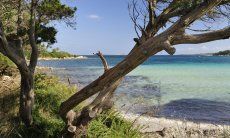 Casa Graziella | Strandabschnitt mit glasklarem Wasser Strandabschnitt mit glasklarem Wasser
