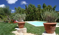Villa Caroline | Schön angelegter und gepflegter Garten zum relaxen Schön angelegter und gepflegter Garten zum relaxen