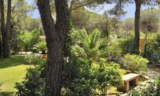 Villa Pino | Großer Garten, Pool ist im Bau Garten