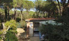 Villetta Pino | Eingang Zum Haus mit Grundstück Villetta Pino