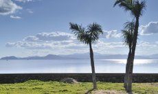 Blick aufs Meer und Palmen an der Strandpromenade