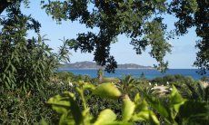 Villa Alessia | Meerblick vom Garten Meerblick