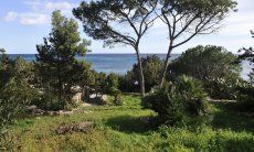 Apartment Cala Liberotto I | Blick durch den Garten auf das Meer Meerblick von der Terrasse