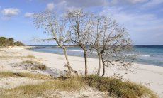 Cala Ginepro ist einer der vielen wunderbaren Strände des Golfes von Orosei