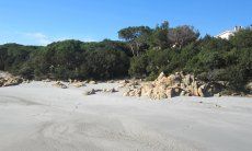 Strand vor der Haustür 