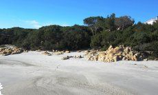 Apartment Cala Liberotto II | Strand vorm Haus Strand vorm Haus