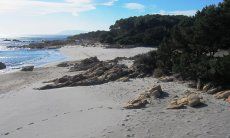 Apartment Cala Liberotto I | Strand vor dem haus Sardinien