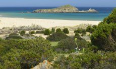 Chia | grüne Macchia |weißer Sandstrand und Insel Su Giudeu